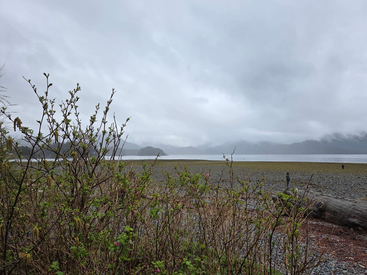 A Cold Day in Sitka AK.