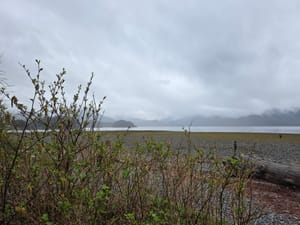 A Cold Day in Sitka AK.